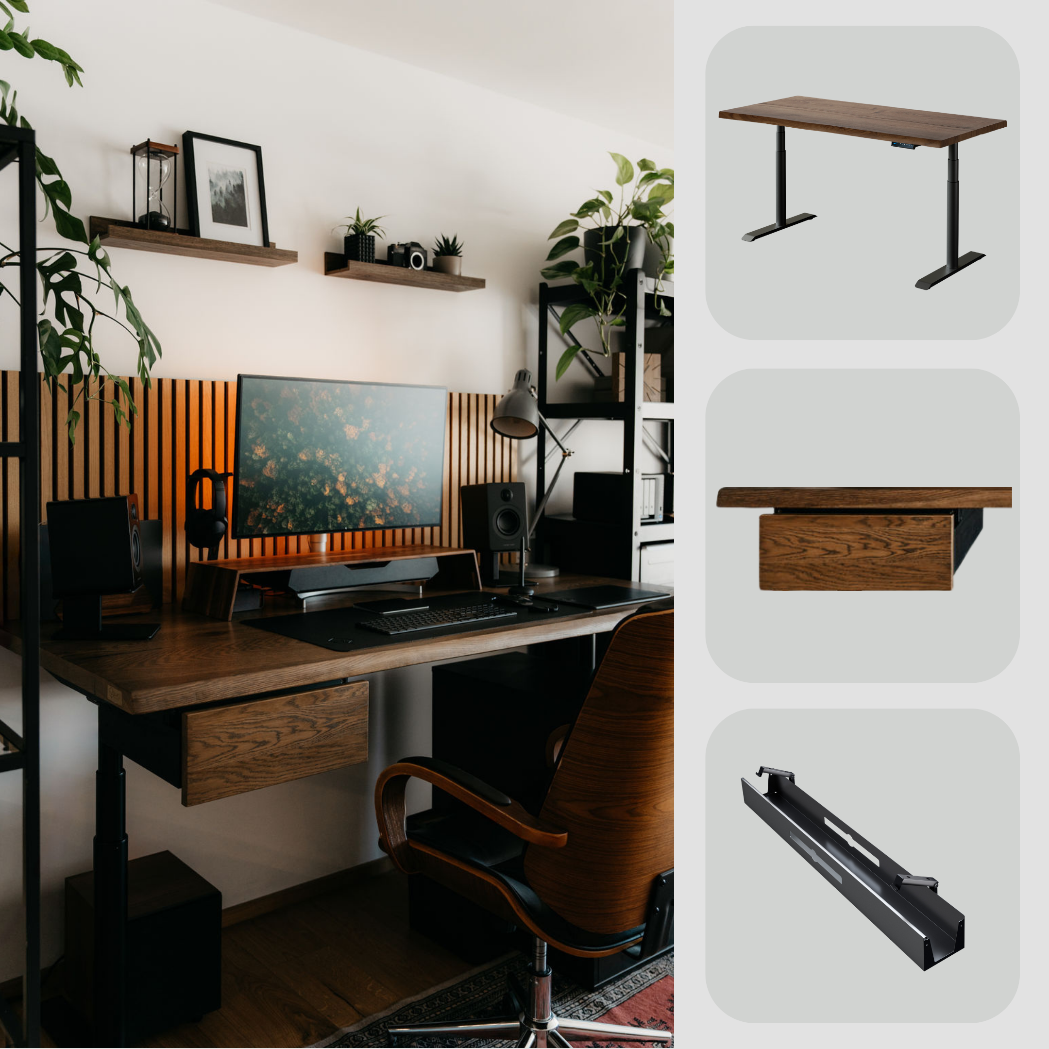 Alive Compact Bundle