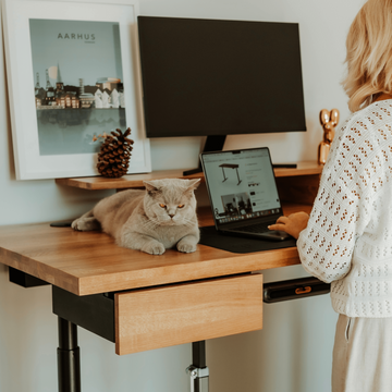 Natural Wood Height adjustable desk with cat on the desk