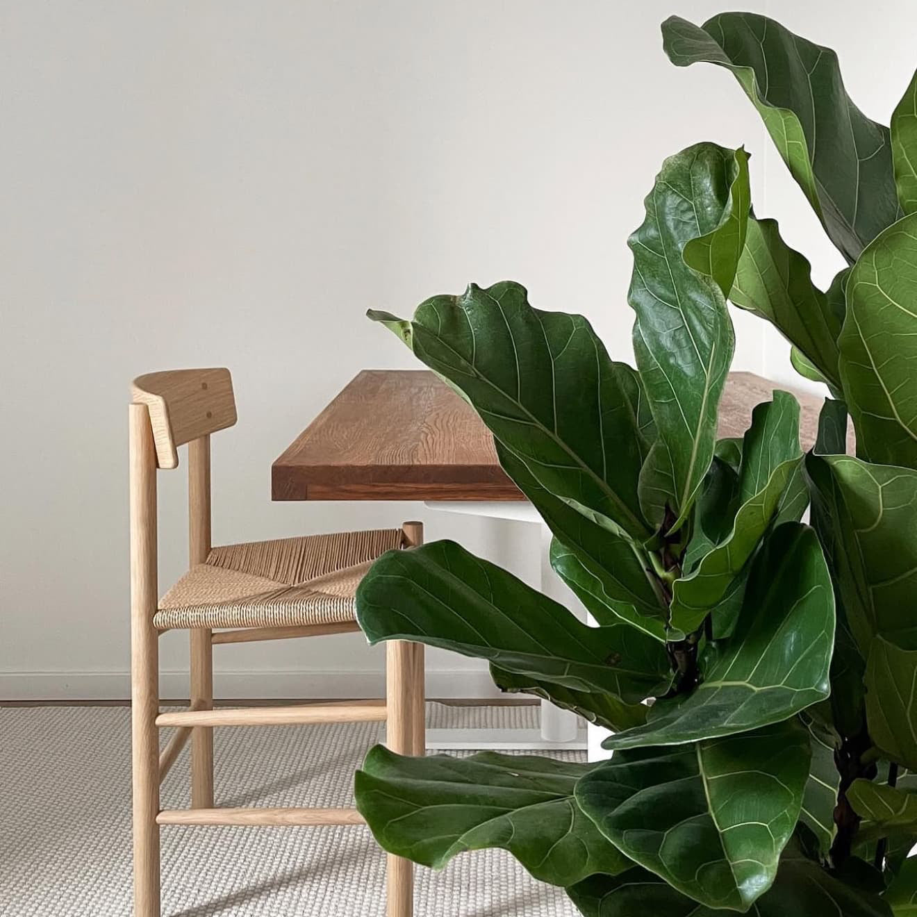 OAKO desk #Solid Wood Combo_Mahogany — White